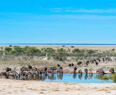 Onguma_Waterhole_1969