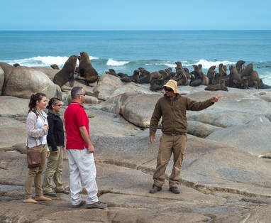 Hoanib_Skeleton_Coast_2014-08-134e