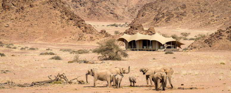 Hoanib_Skeleton_Coast_2014-08-319e