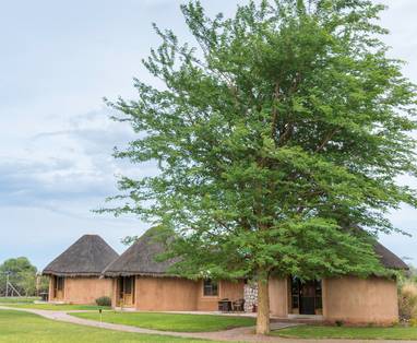 Onguma_Bush_Camp_0991