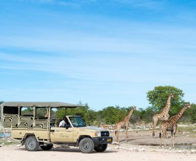 Game_Drive_at_Onguma_1191