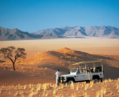 natuur bij Wolwedans Dune Camp in Namibië