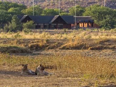 wild bij Hobatere Lodge in Namibië