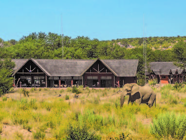 olifant bij Hobatere Lodge in Namibië