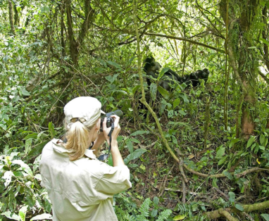 Gorilla_Trekking