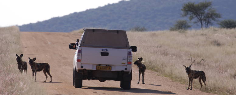 okonjima_main_entrance6