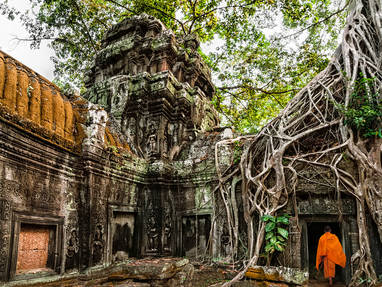 AA_Ta_Prohm_-_Monks_and_Tree_roots