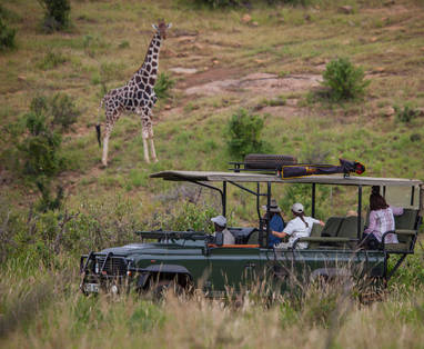 Loisaba_Game_Drives_2(c)_Silverless