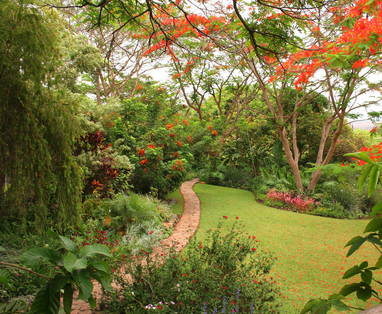 Garden_Path_-_27_Oct_07