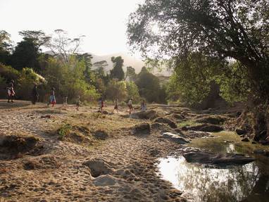 Kitich_Camp_-_Family_Forest_Walk