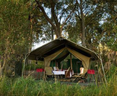 Vooraanzicht tent bij Footsteps Across the Delta