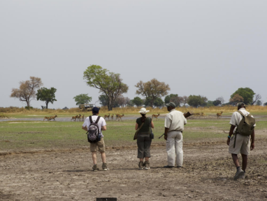 wandelsafari bij Footsteps Across the Delta
