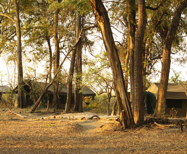 tenten bij Footsteps Across the Delta