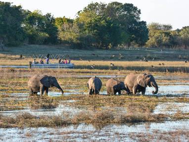 10497845_306090419579712_8068819066530876566_o