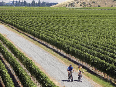 Hawkes Bay by Chris Mclenn