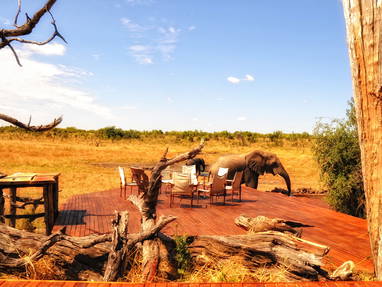 view_from_main_boma_towards_decking_and_pool