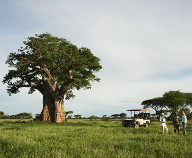 singita-pamushana-game-drive2