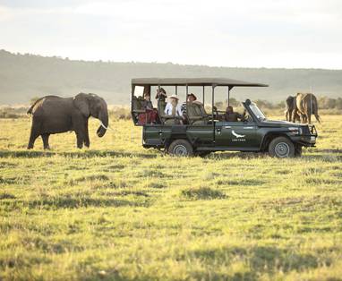 Kichwa_Tembo_2014-238