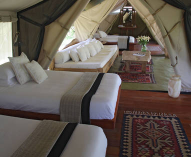 Little_Naibor_twin_2