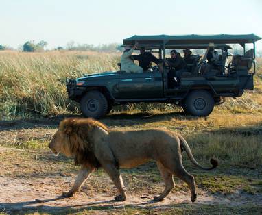 SelindaExplorersCamp-Wildlife-GreatPlainsConservation-59_-_kopie