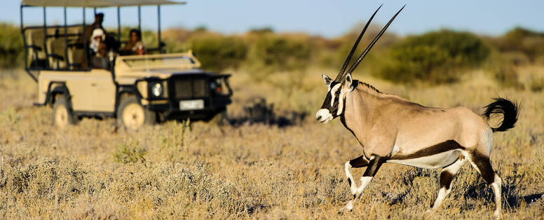 Kalahari_2012-06-65e