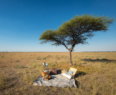 Kalahari_2015-03-52e