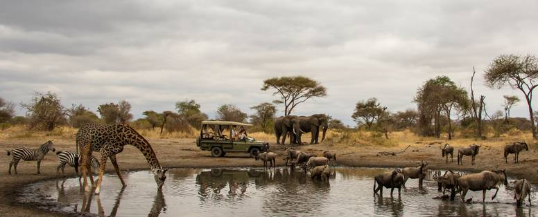 Waterpond in een concessie van Tarangire National Park