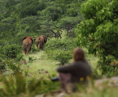 ol_lentille_2016-238