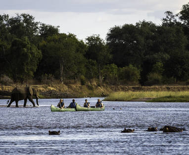 Ruckomechi_2014-05-100