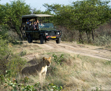 safari rondom etosha