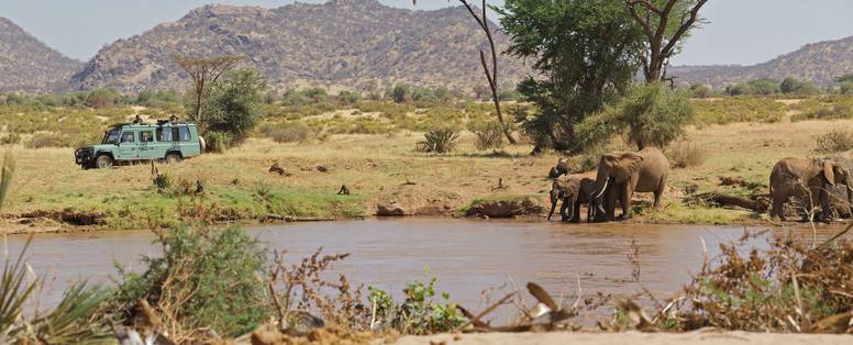 Safari kenia Samburu regio