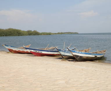 Local_canoe's_1