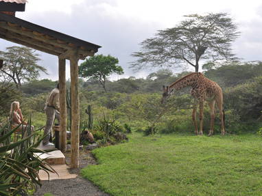 Wild in je tuin bij Hatari in Tanzania