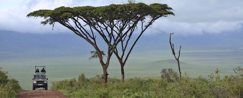 Safaritochten rond de Ngorongoro krater