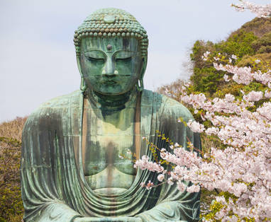 Kamakura_Great_Buddha_-_cherry_blossom