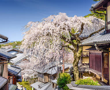 Kyoto_Higashiyama_-_by_day