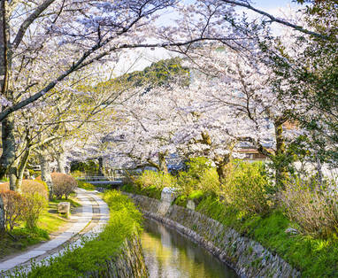 Kyoto_Philosopher's_path