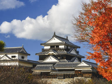 Matsuyama_-_Castle