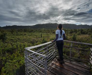 CL_C._Austral_Parque_Pumalin_vct