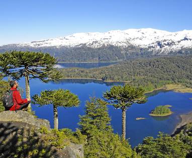 CL_Merengebied_Parque_Nacional_Conguillio_vct