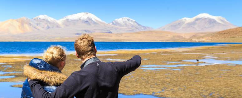 CL_Atacama_Lagunas_Altiplanica_1_vct