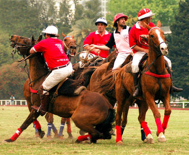 Aliwen_Buenos_Aires_(1)