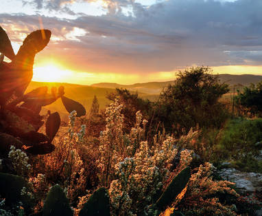 Los_Potreros_Cordoba_regio__scenery_by_Tony_Clerkson_(6)