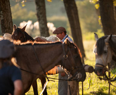 Los_Potreros_Cordoba_regio_riding_by_Tony_Clerkson_(10)