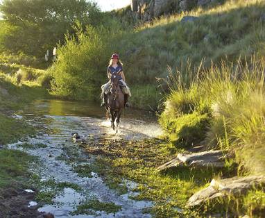 Los_Potreros_Cordoba_regio_POT5991