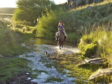 Los_Potreros_Cordoba_regio_POT5991