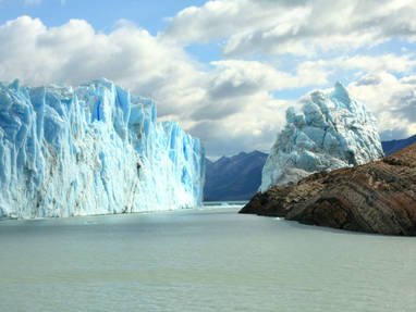 Aliwen_Calafate