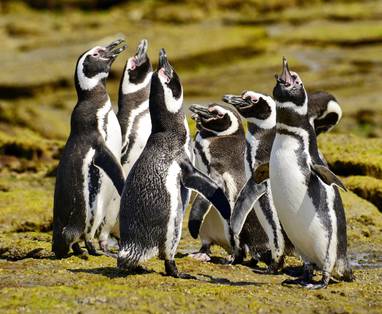 Bahia_Bustamante_Ph_Lloyd_Edwards_(2)