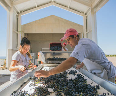 Casa_de_Uco_Mendoza_25-