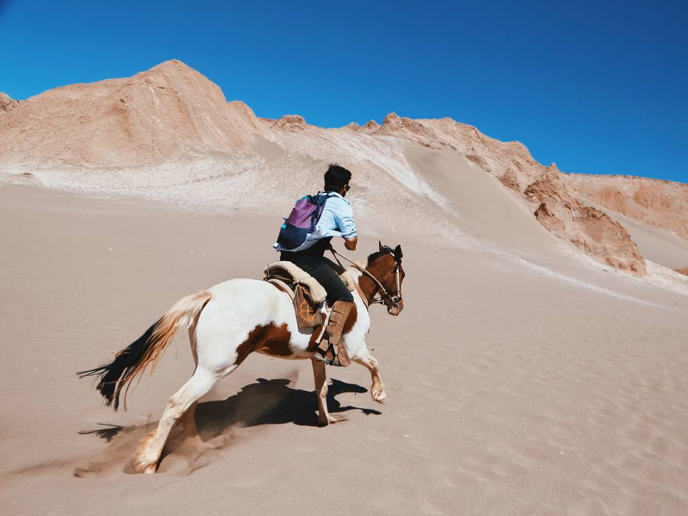 Atacama_woestijn_-_Paardrijden